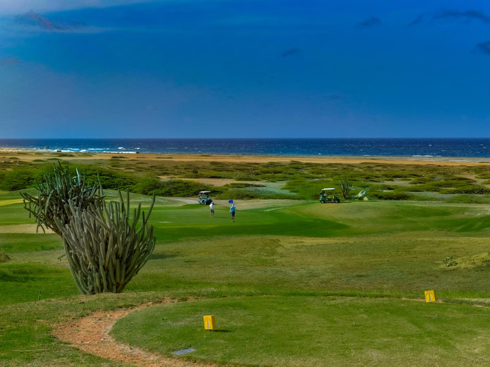 Tierra del Sol 18 hole golf course with ocean view