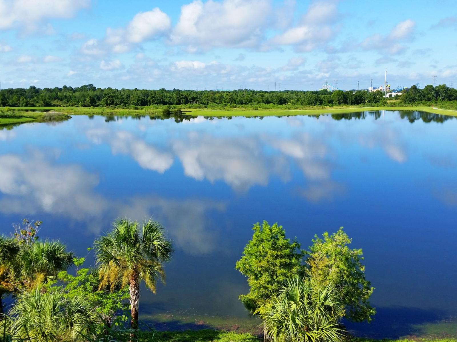 Vista Cay Resort View