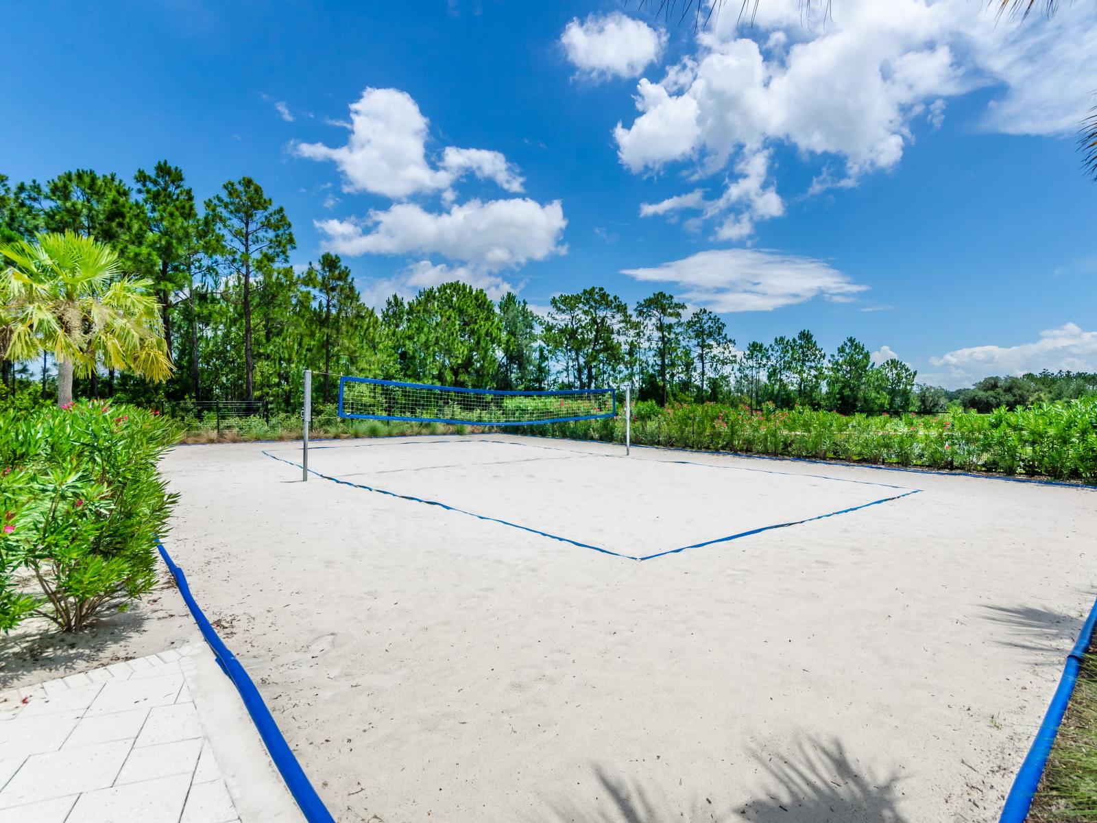 Festival Resort - Beach Volleyball