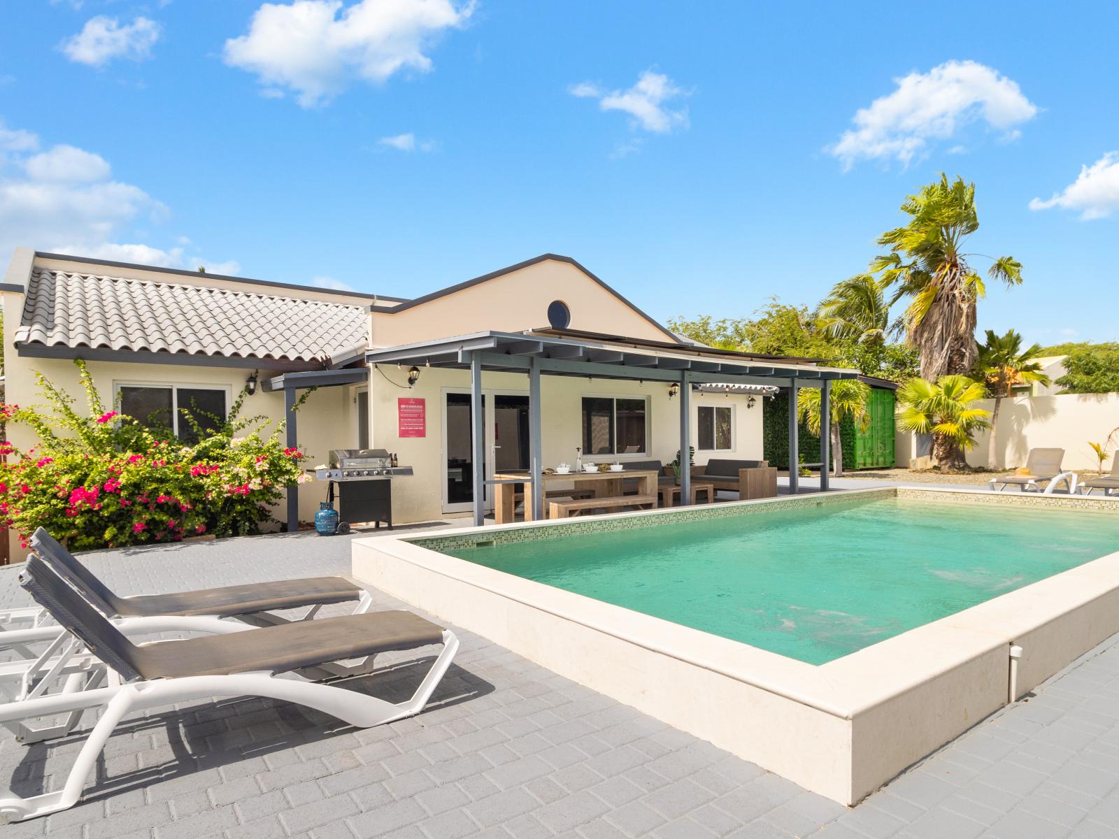 Splendid Pool of the 5BR house in Noord Aruba - Dive into refreshing poolside escape - Immerse yourself in the cool elegance of our pool - Experience ultimate relaxation in our poolside paradise