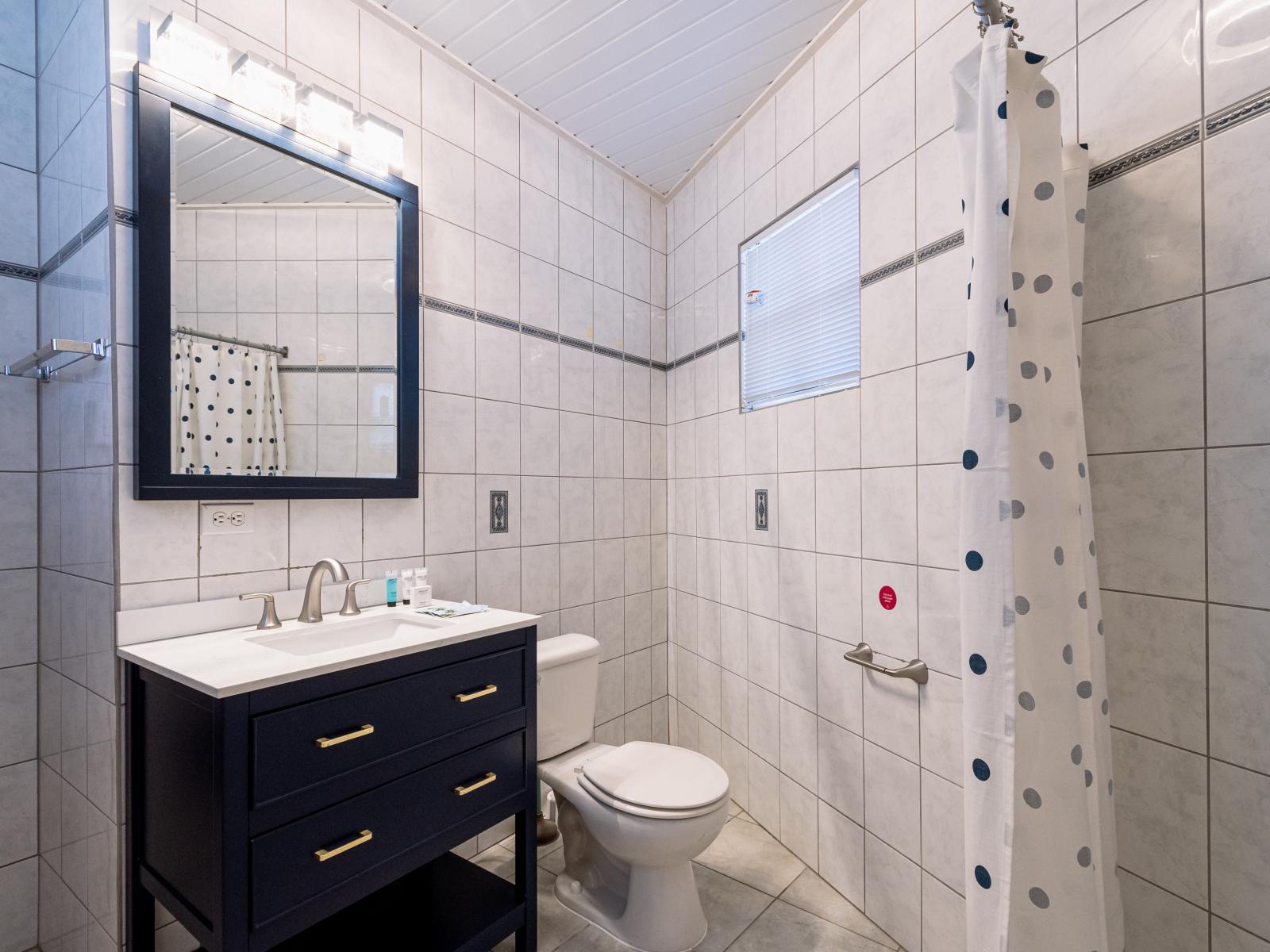 Classy Bathroom of the Studio Apartment in Oranjesta, Aruba - Neat and clean toilet seat - Availability of all bathroom amenities - Beautiful vanity with large size wall mirror - Elegant lighting - Stunning separate shower area