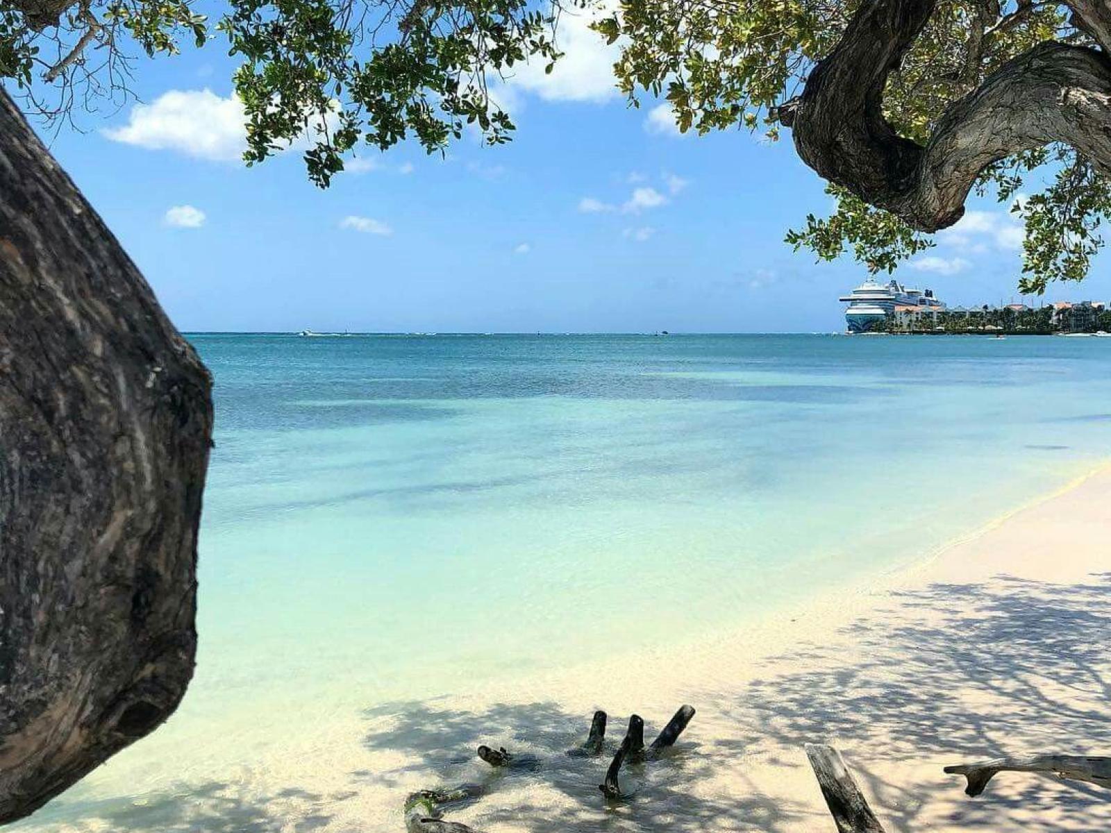 Surfside beach just across the street - Calming Beach Area  - A perfect Spot to have great time with friends and family - Riding the winds of exhilaration in Aruba! Wind surfing is not just a sport  - It's a dance with the waves in Caribbean breeze