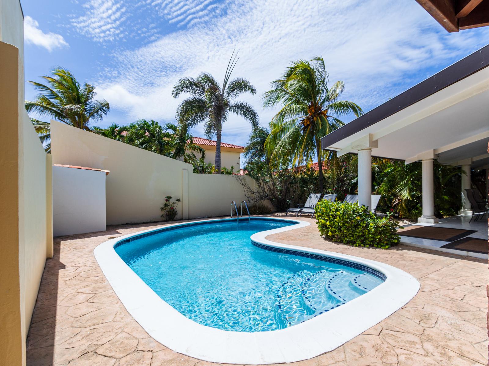 Luxury Shared pool area of the Villa in Noord,Aruba - Lush and refreshing environment - Cozy beach chairs available - Beautifully sunbathed space makes the soul peaceful