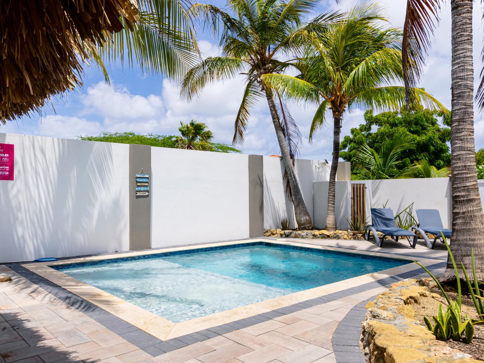 Splendid Pool of the 3BR house in Noord Aruba - Dive into refreshing poolside escape - Lounge in tranquility by the sparkling waters - Immerse yourself in the cool elegance of our pool - Experience ultimate relaxation in our poolside paradise