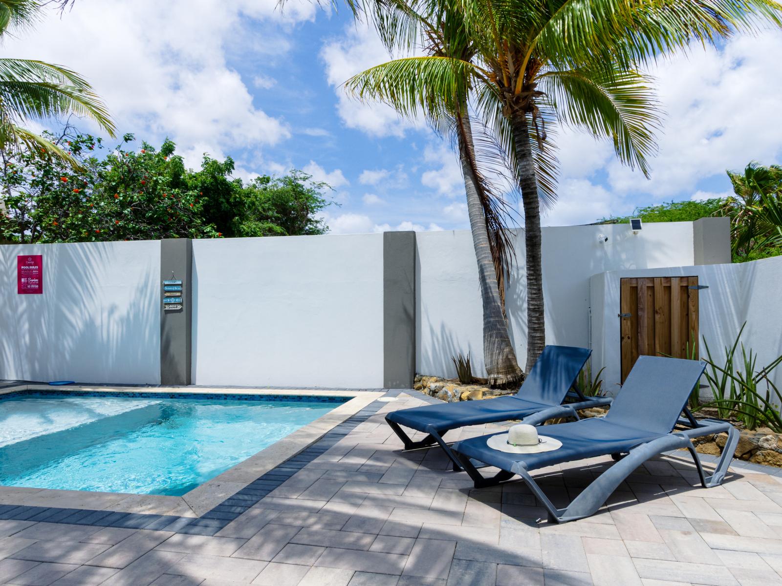 Captivating Pool Area of the 3BR house in Noord Aruba - A spot for friends and family to gather and socialize - Palm trees and tropical plants enhance the vacation feel - Comfy beach chairs