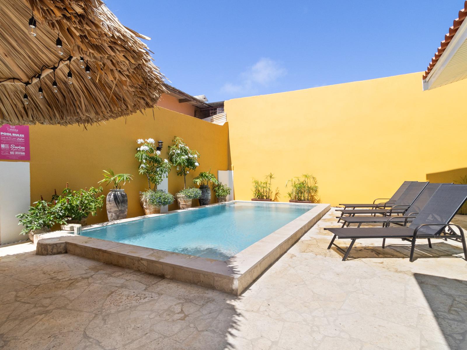 Captivating Pool Area of the 3BR House in Noord Aruba - A spot for friends and family to gather and socialize - Palm trees and tropical plants enhance the vacation feel - Pool Area with shaded outdoor seating option