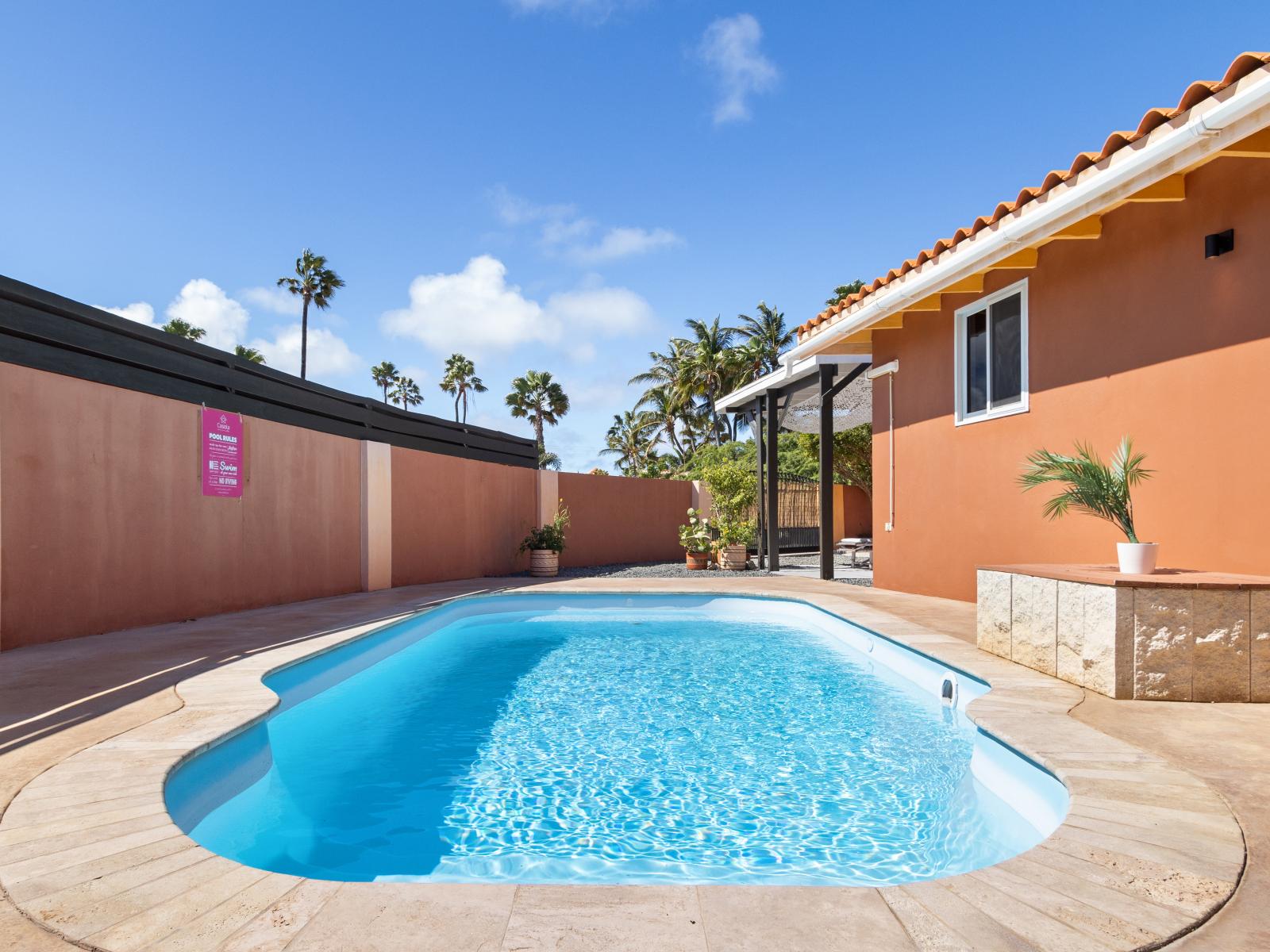 Splendid Private Pool of the 3BR House in Noord Aruba - Dive into refreshing poolside escape - Lounge in tranquility by the sparkling waters - Immerse yourself in the cool elegance of pool - Experience ultimate relaxation in poolside paradise