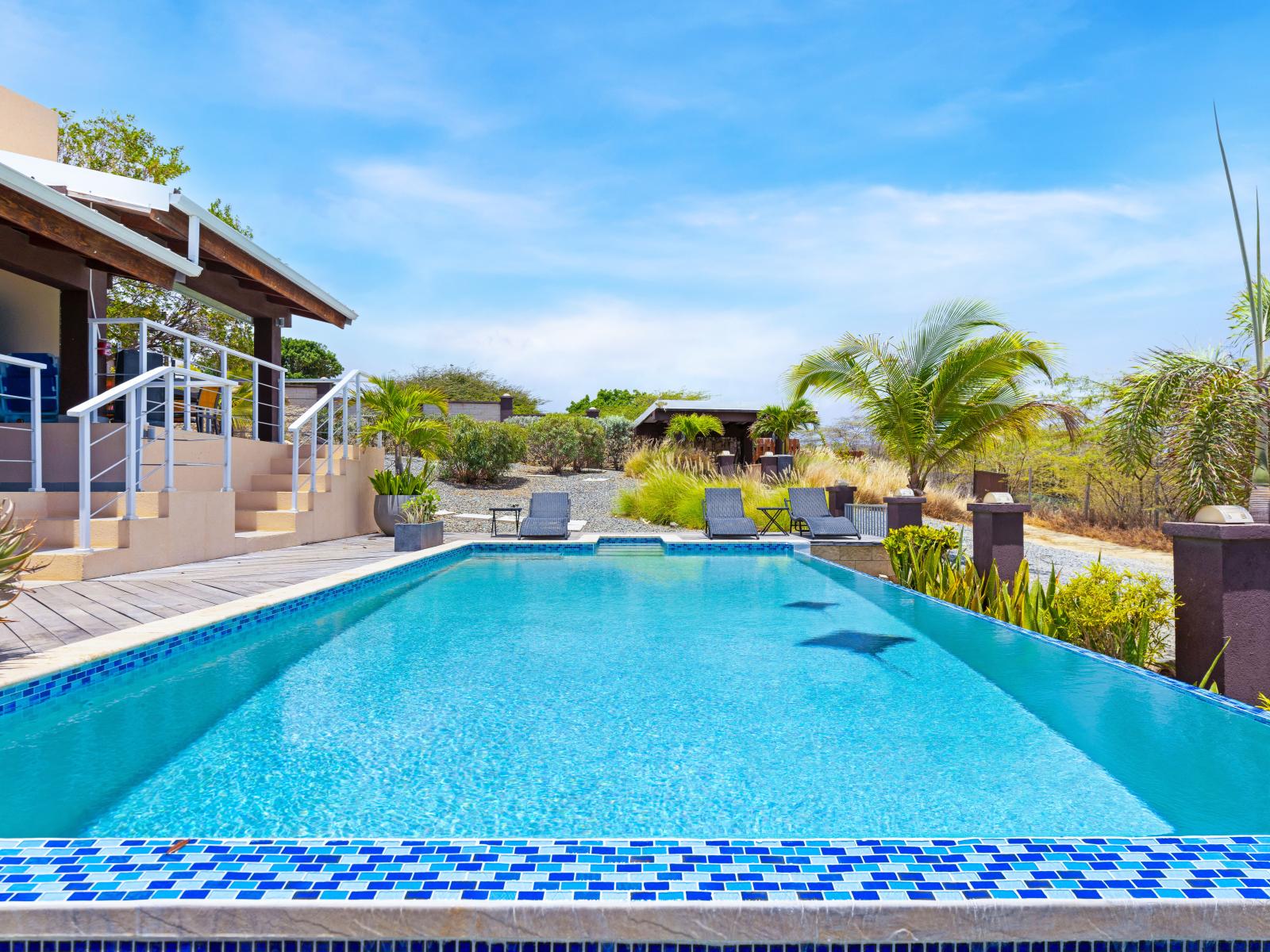 An abundance of greenery surrounding the home