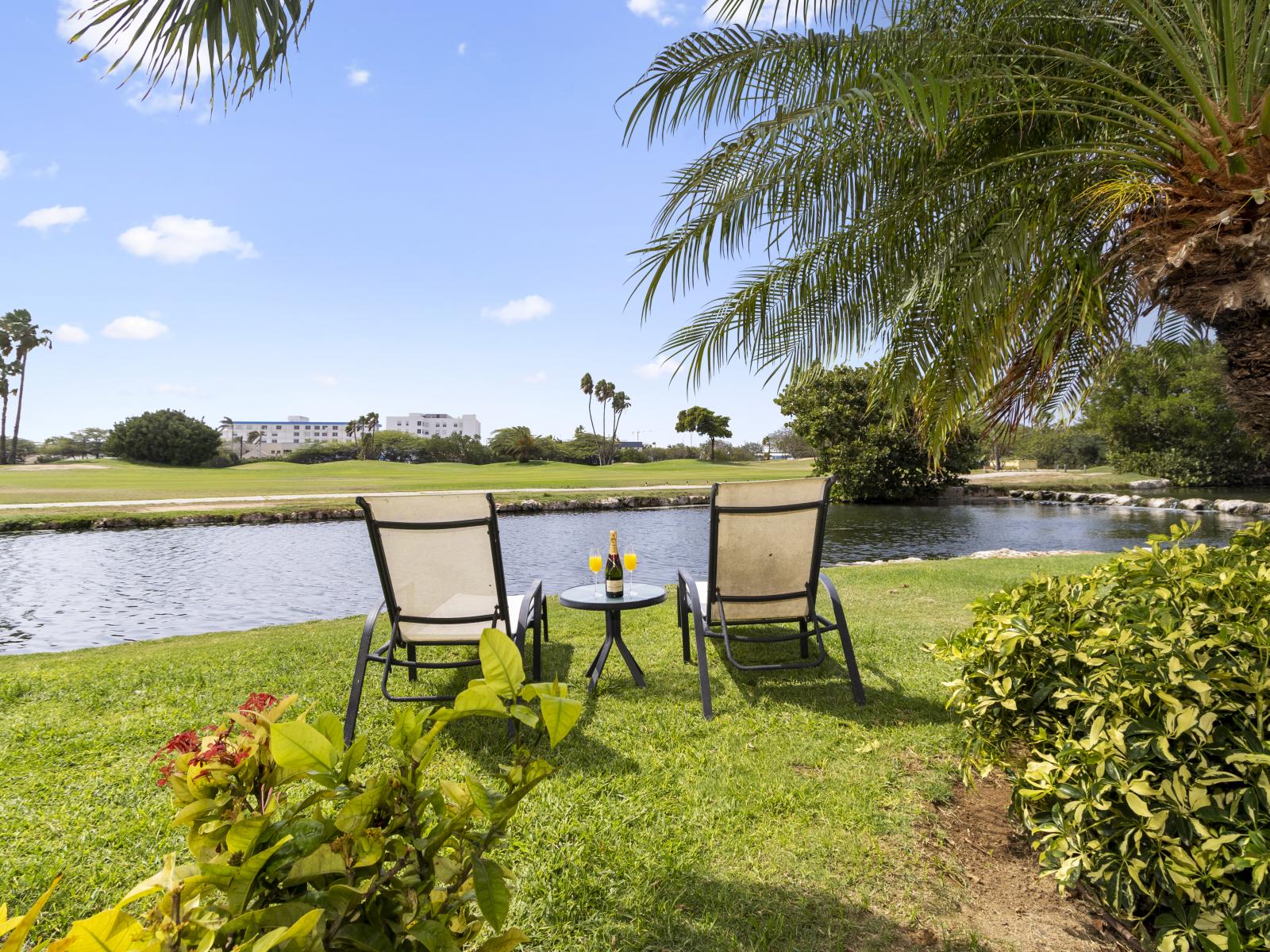 Soak up the sun and unwind on our comfortable lounge chairs, perfect for relaxing and enjoying the outdoor breeze.