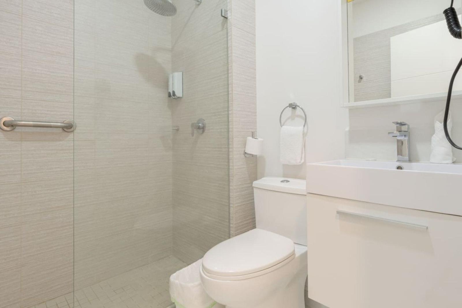 Bathroom 2 with sleek walk in shower