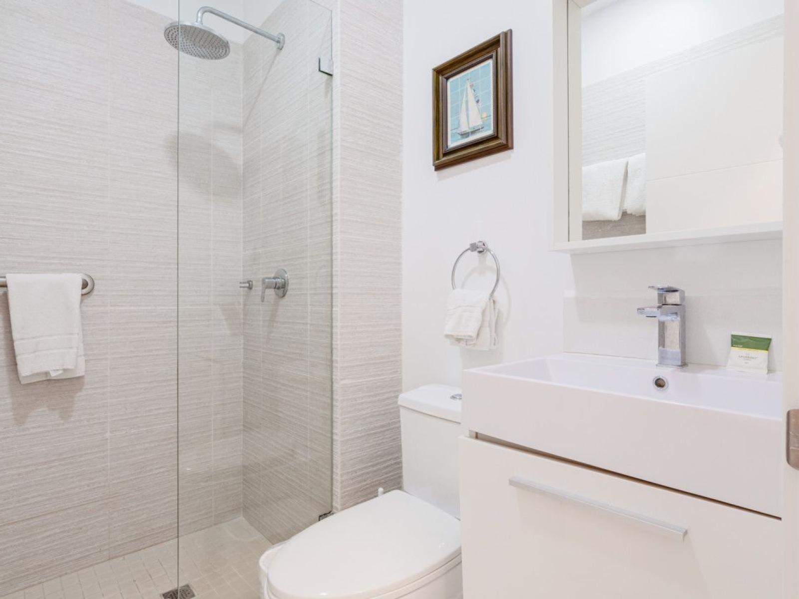 Bathroom 2 with a walk in shower