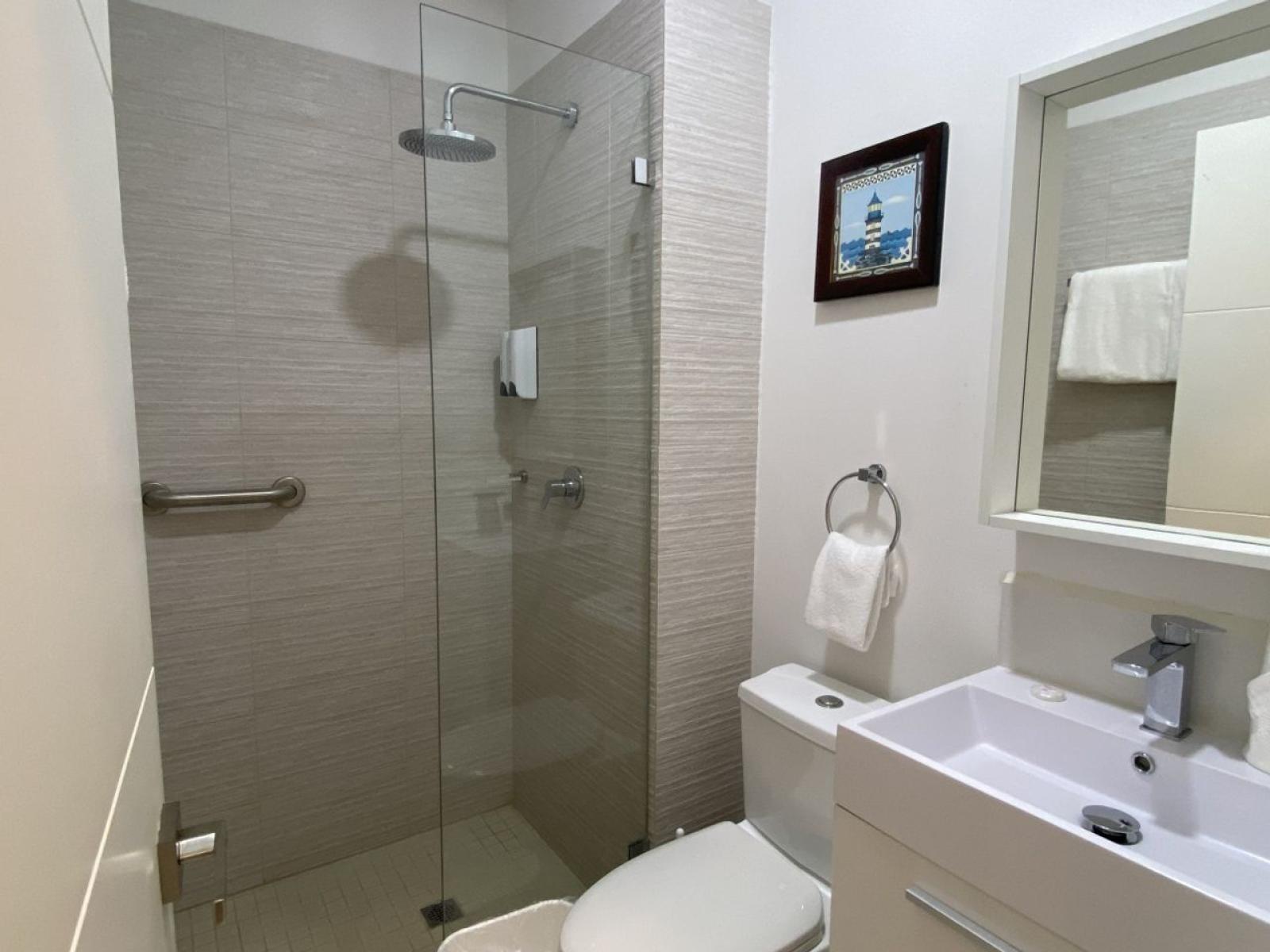 Bathroom features sleek walk in shower