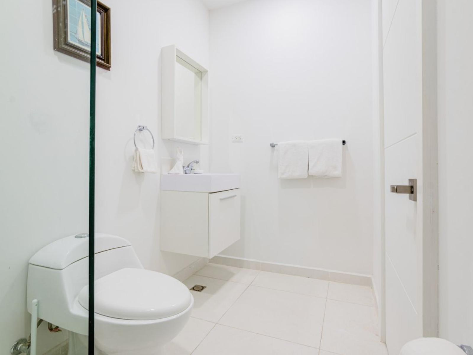 Bathroom features a walk in shower