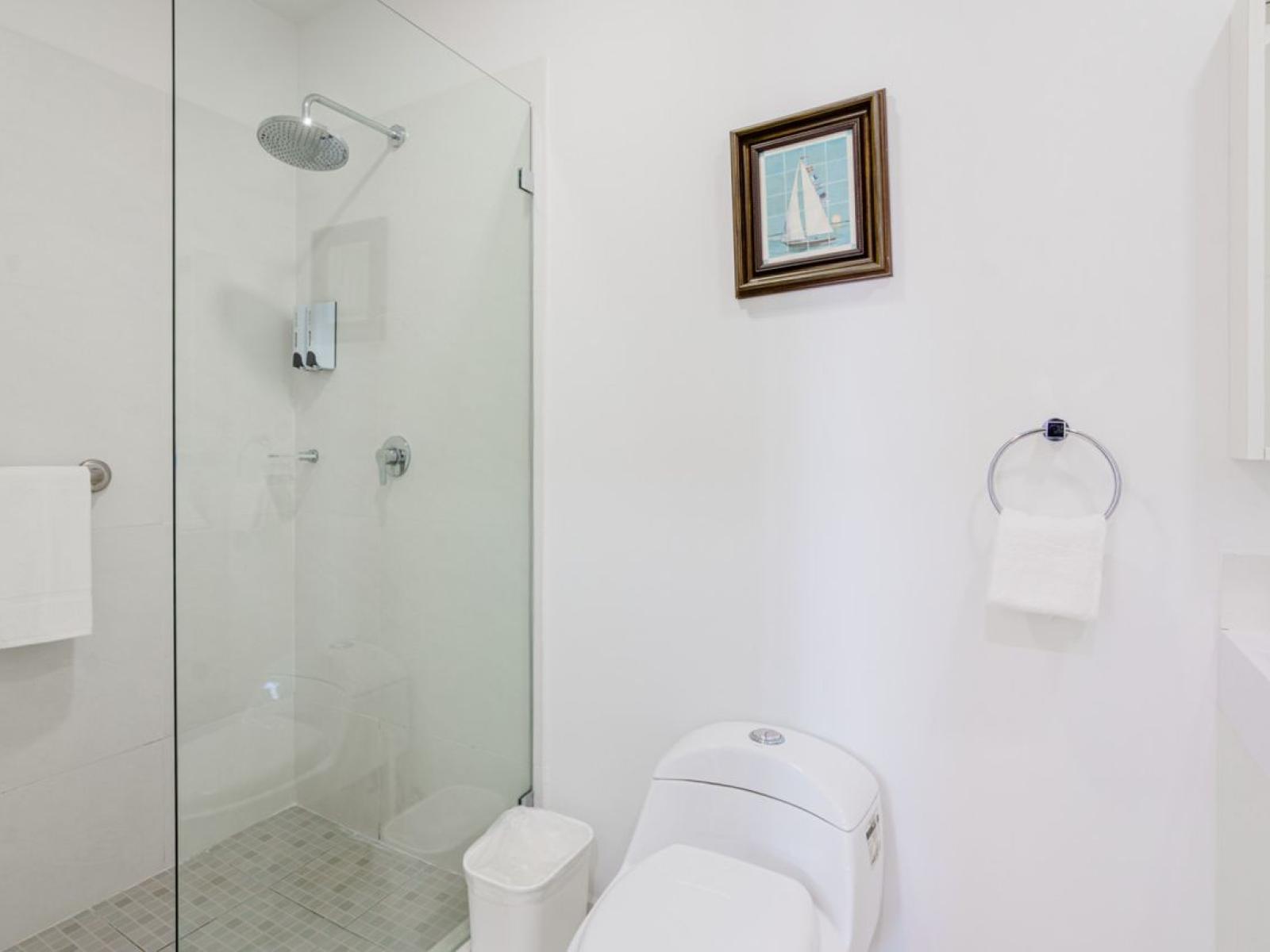 Bathroom features a walk in shower