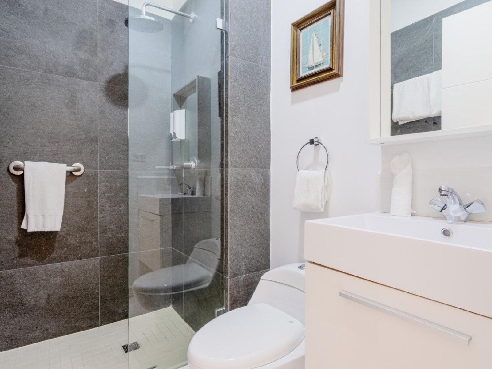 Bathroom 1 with a modern walk in shower