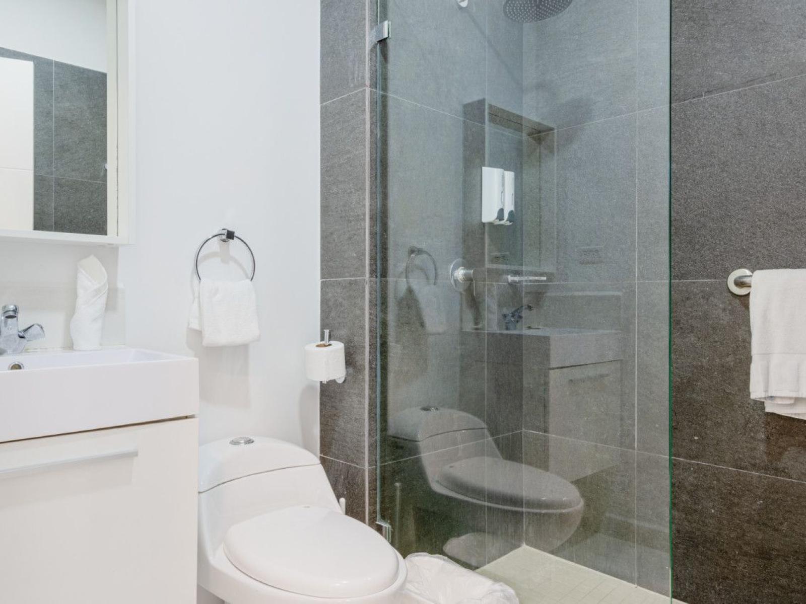 Bathroom 2 with a modern walk in shower