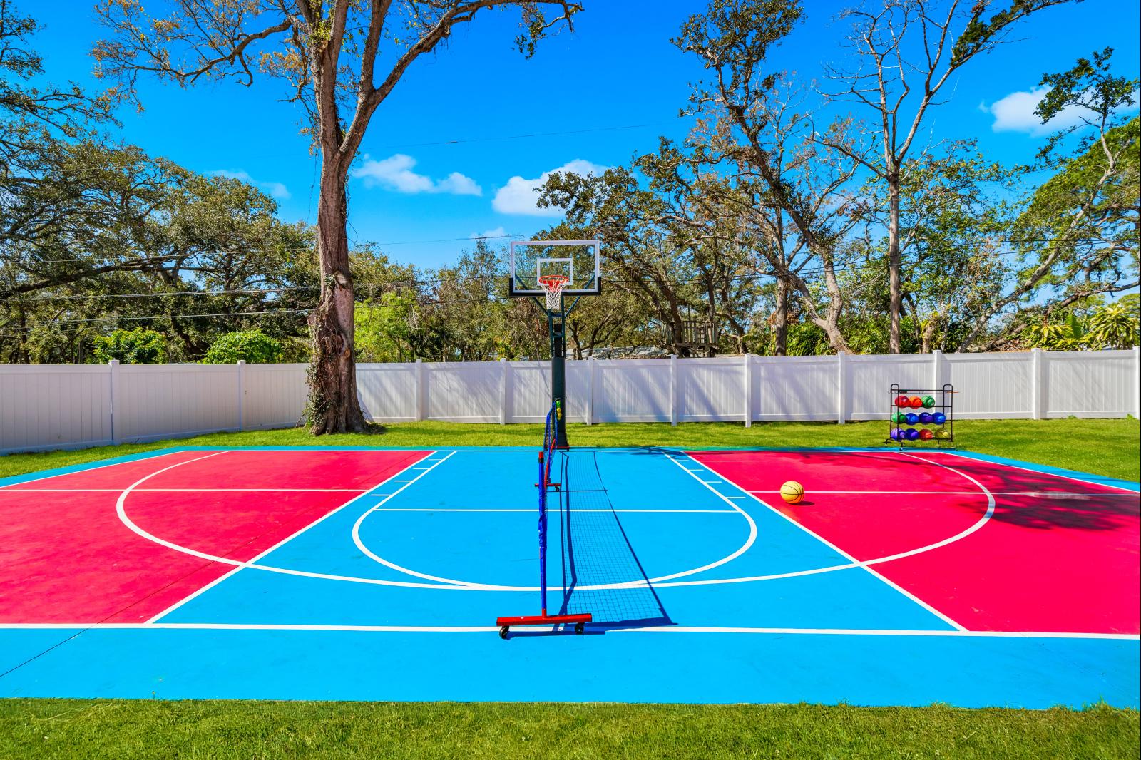 Your very own private pickleball and basketball court!