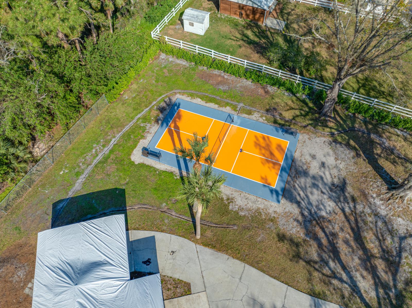 12805 horseshoe rd tampa aerial 26 pavntb.png