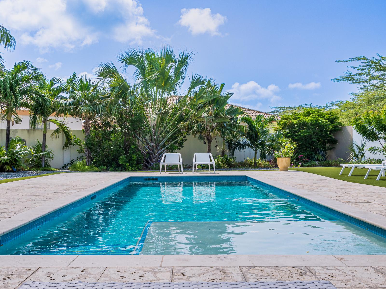 Large backyard great for spending your day by the pool