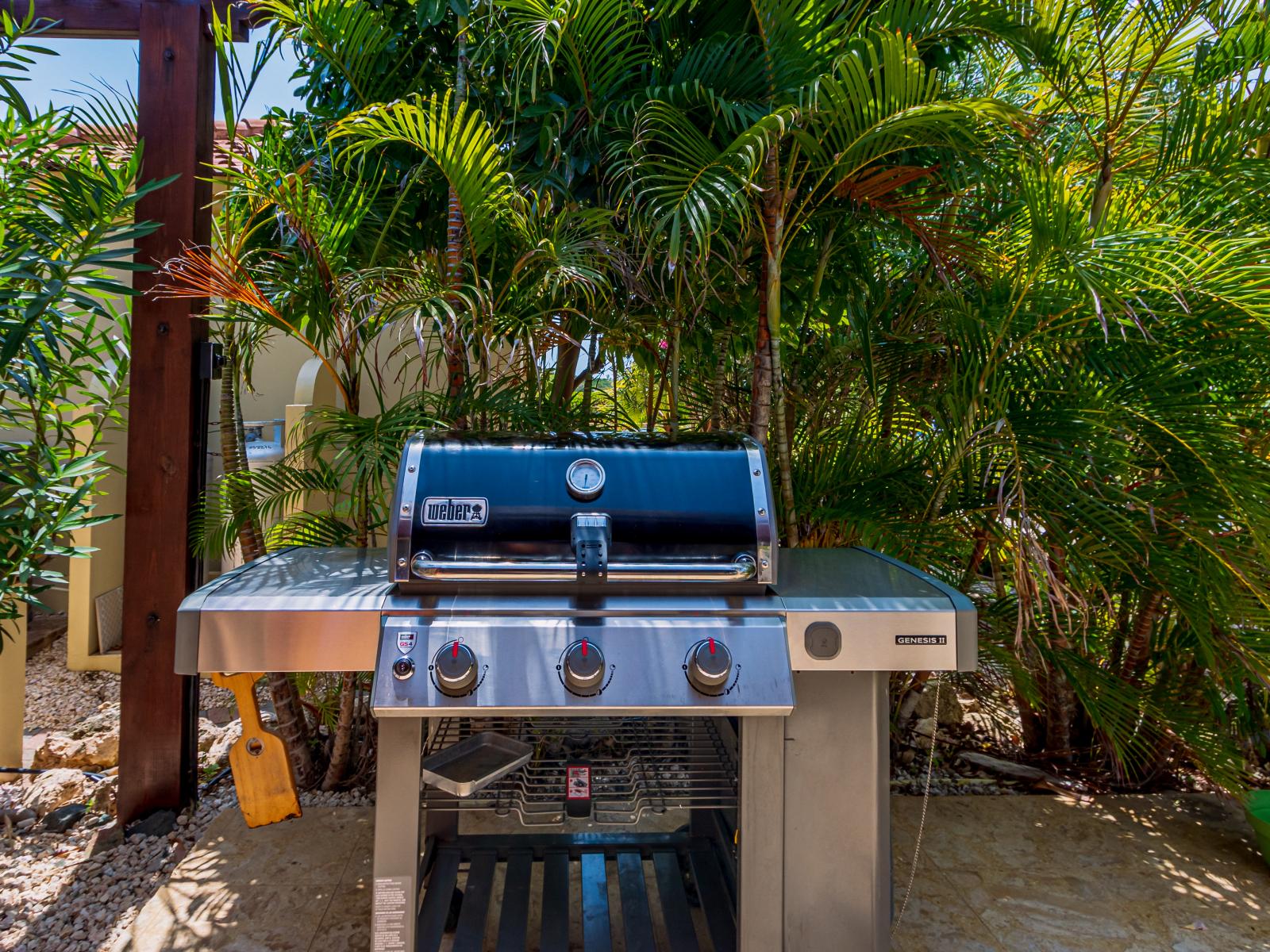 Fire up our outdoor BBQ grill for a delightful culinary experience under the open skies.