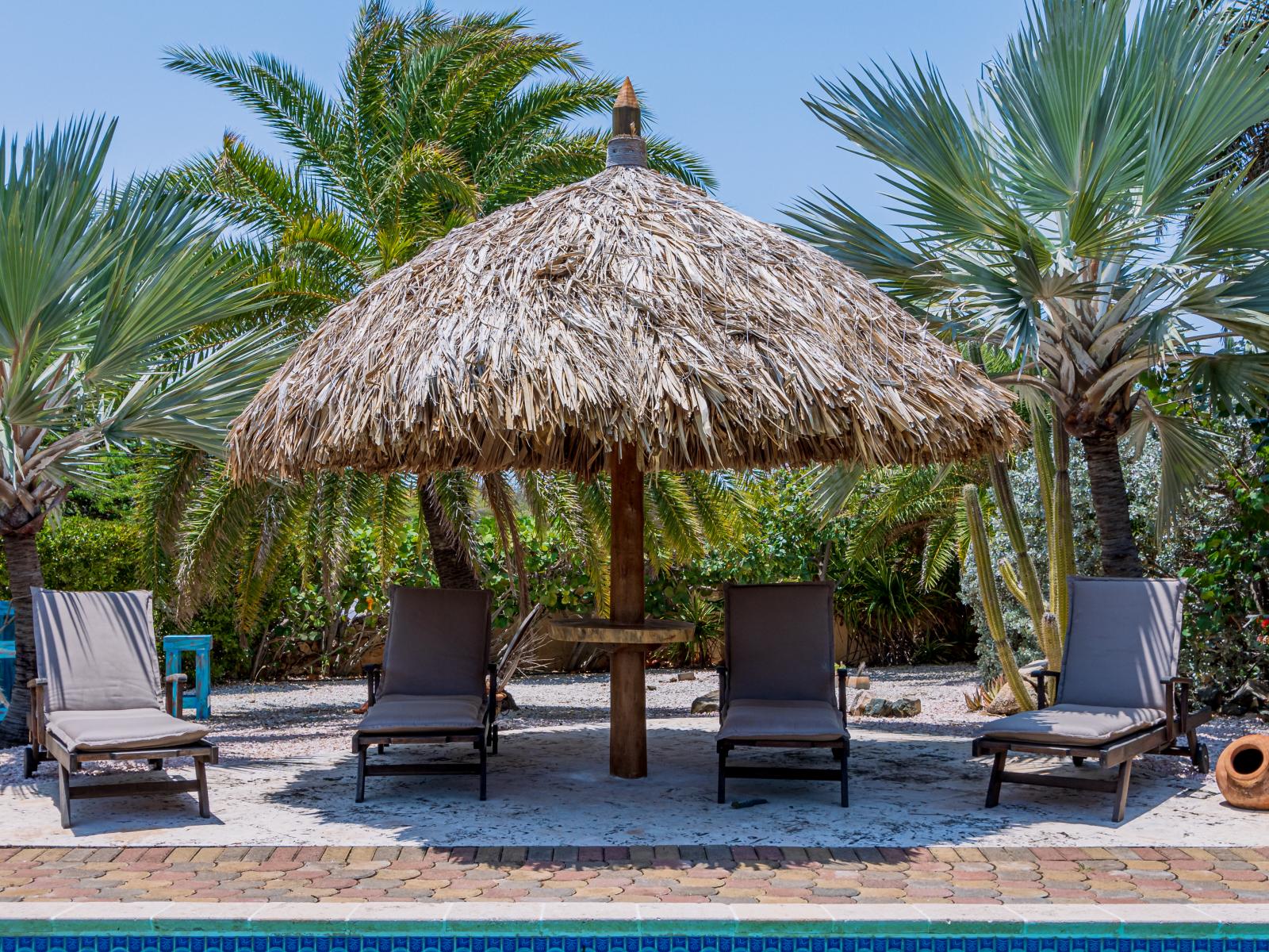 Lounge by the pool under our inviting palapa, offering a perfect blend of shade and relaxation.