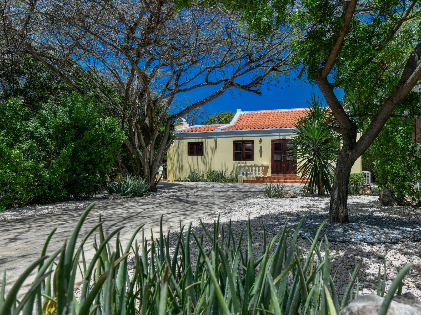 Welcome to the front facade of our Aruban-inspired architectural masterpiece, where every detail evokes the charm and elegance of island living.