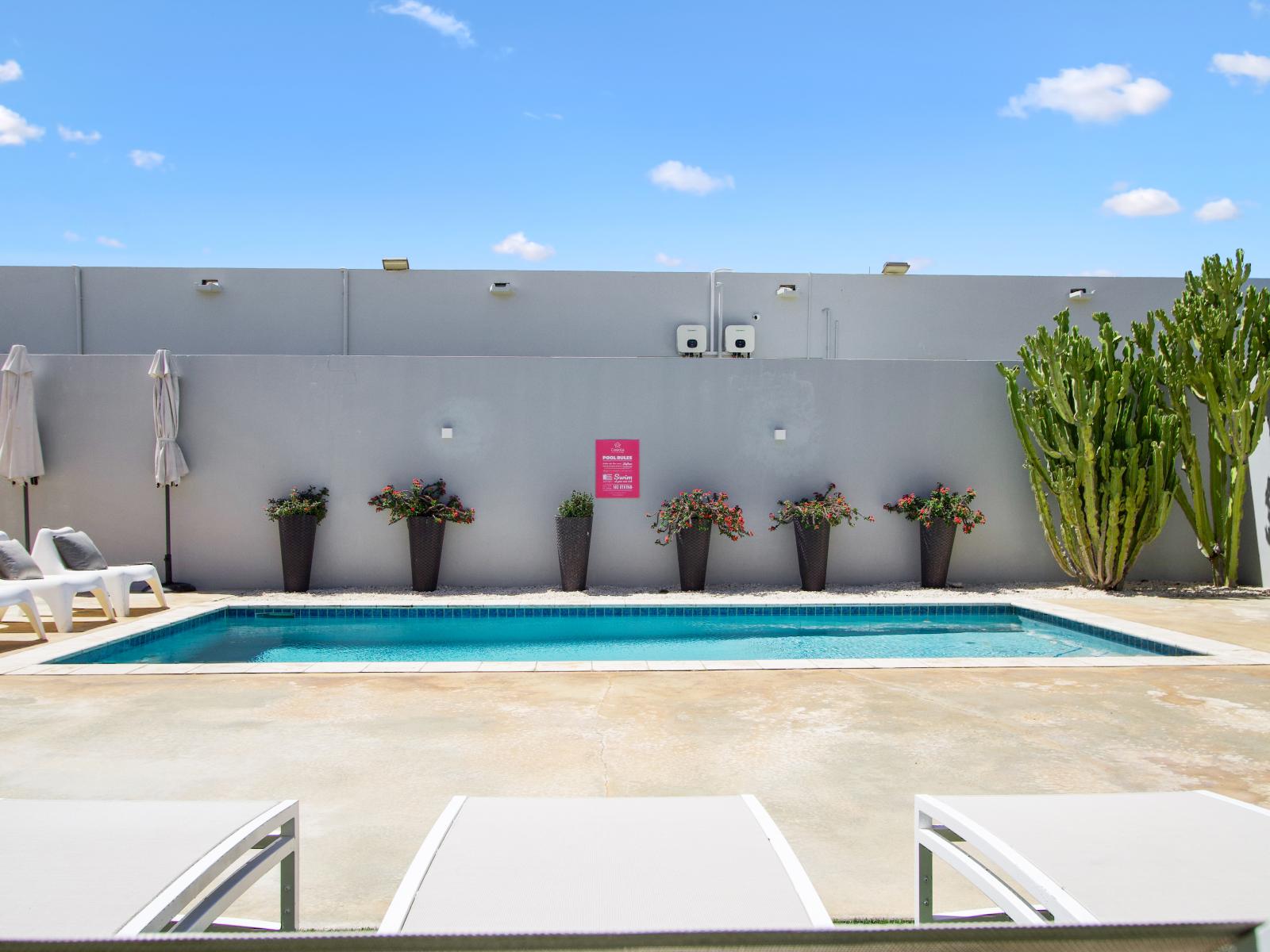 Our lounge chairs offer a perfect vantage point to enjoy the beautiful pool view.