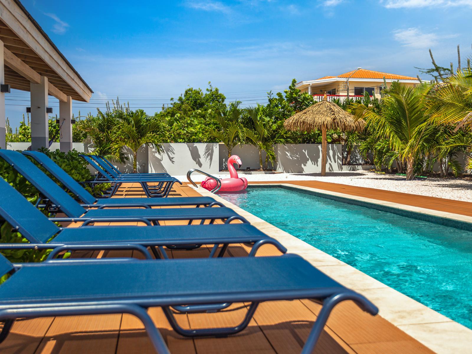 Lots of chairs for lounging in the sun by the pool