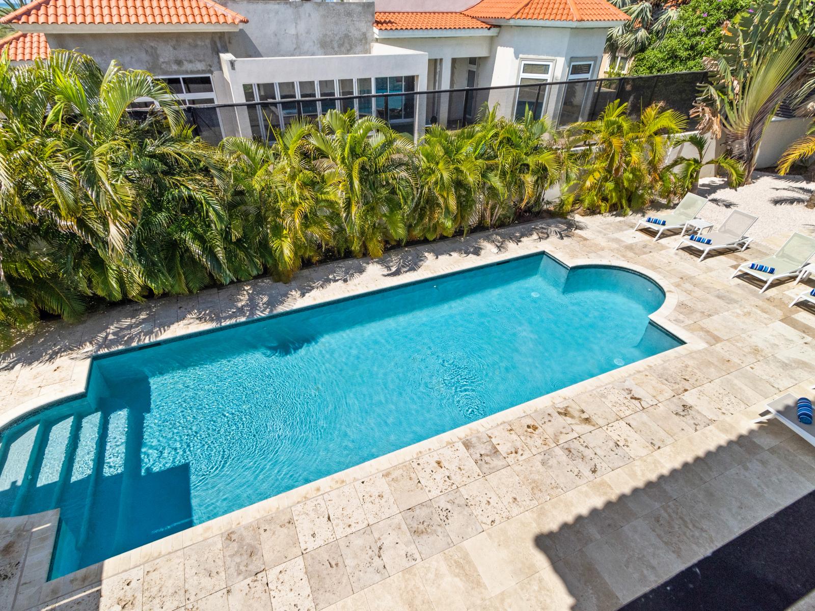 Splendid Private Pool of the Villa in Noord Aruba - Cosy beach chairs available - Dive into refreshing poolside escape - Immerse yourself in the cool elegance of our pool - Experience ultimate relaxation in our poolside paradise