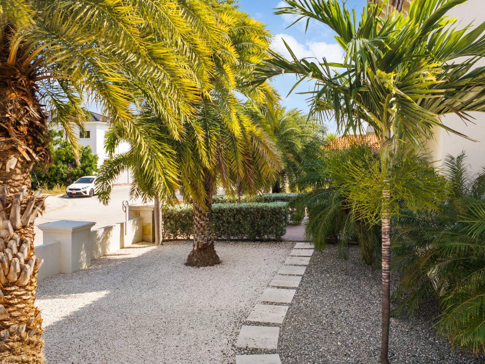 Beautiful palm trees surrounding home