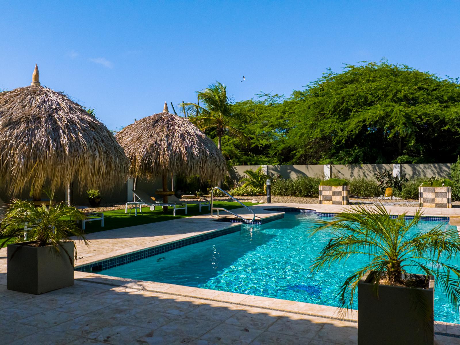 Tranquil pool Area of the Villa in Noord Aruba - An abundance of greenery surrounding the home - Discover a peaceful retreat in inviting pool - Palm trees and tropical plants enhance the vacation feel