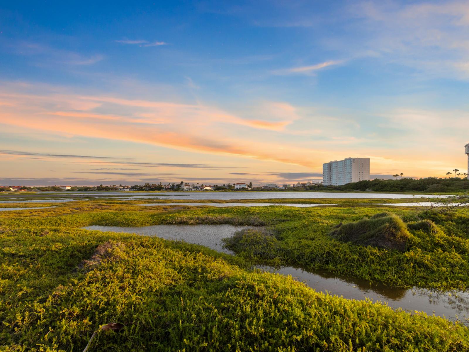 Nature's Embrace: Surround yourself with lush greenery that envelops our neighborhood, creating a serene and refreshing atmosphere.