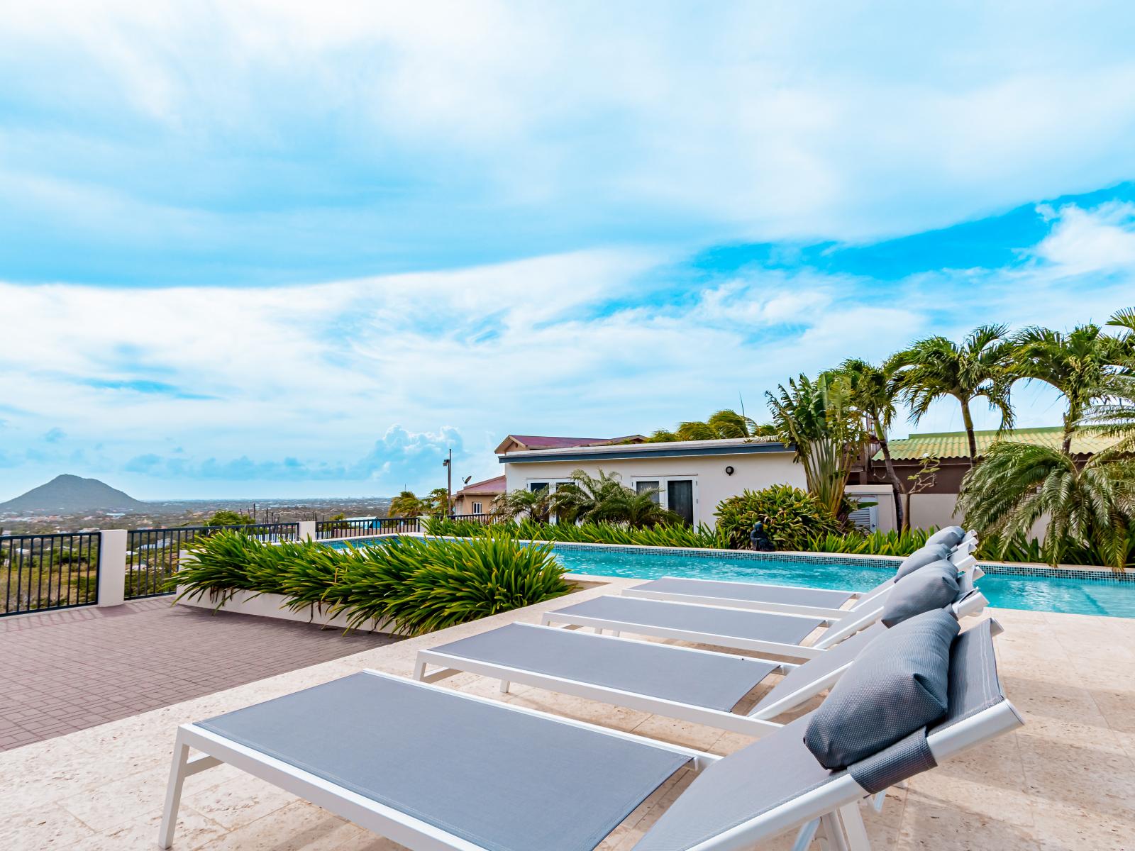 Captivating Pool Area of the Home in Santa Cruz Aruba - A spot for friends and family to gather and socialize - Palm trees and tropical plants enhance the vacation feel - Modern beach chairs