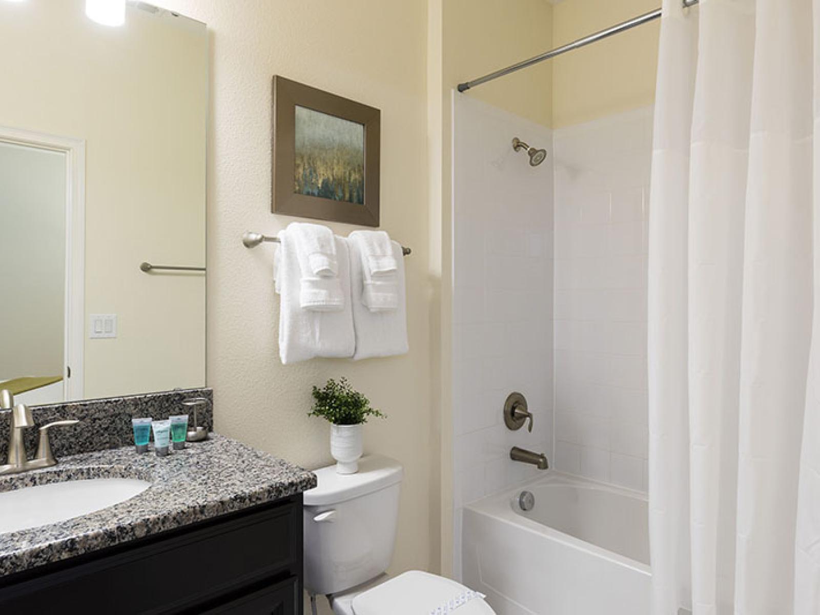 Lavish Bathroom of the Home in Davenport Florida - Unwind in the soothing tub of luxurious bathroom - Harmonious blend of classic and contemporary elements - Effortlessly stylish with a vanity and chic accessories