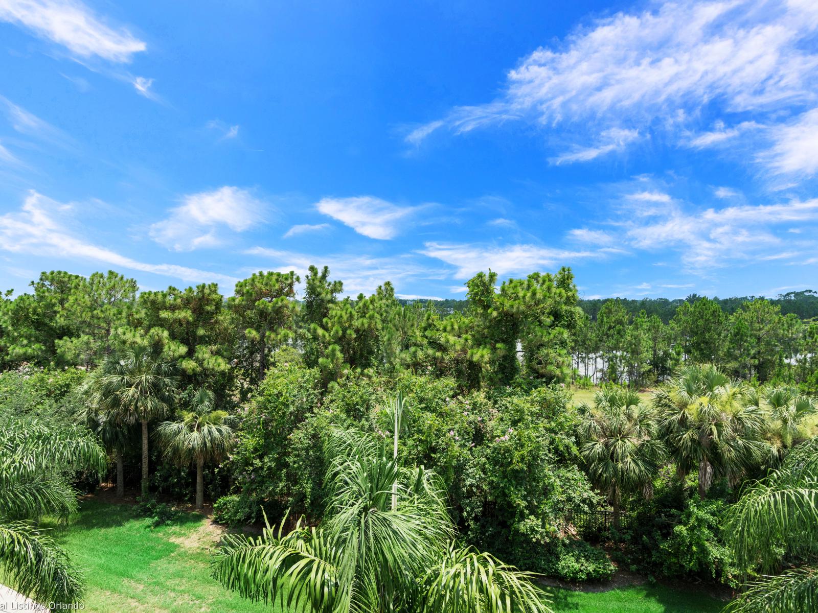 Enjoy breathtaking views from the balcony of our resort, offering a serene retreat amidst the bustling surroundings. Whether it's a sunrise or sunset, the balcony provides the perfect vantage point to soak in the beauty of the surroundings.