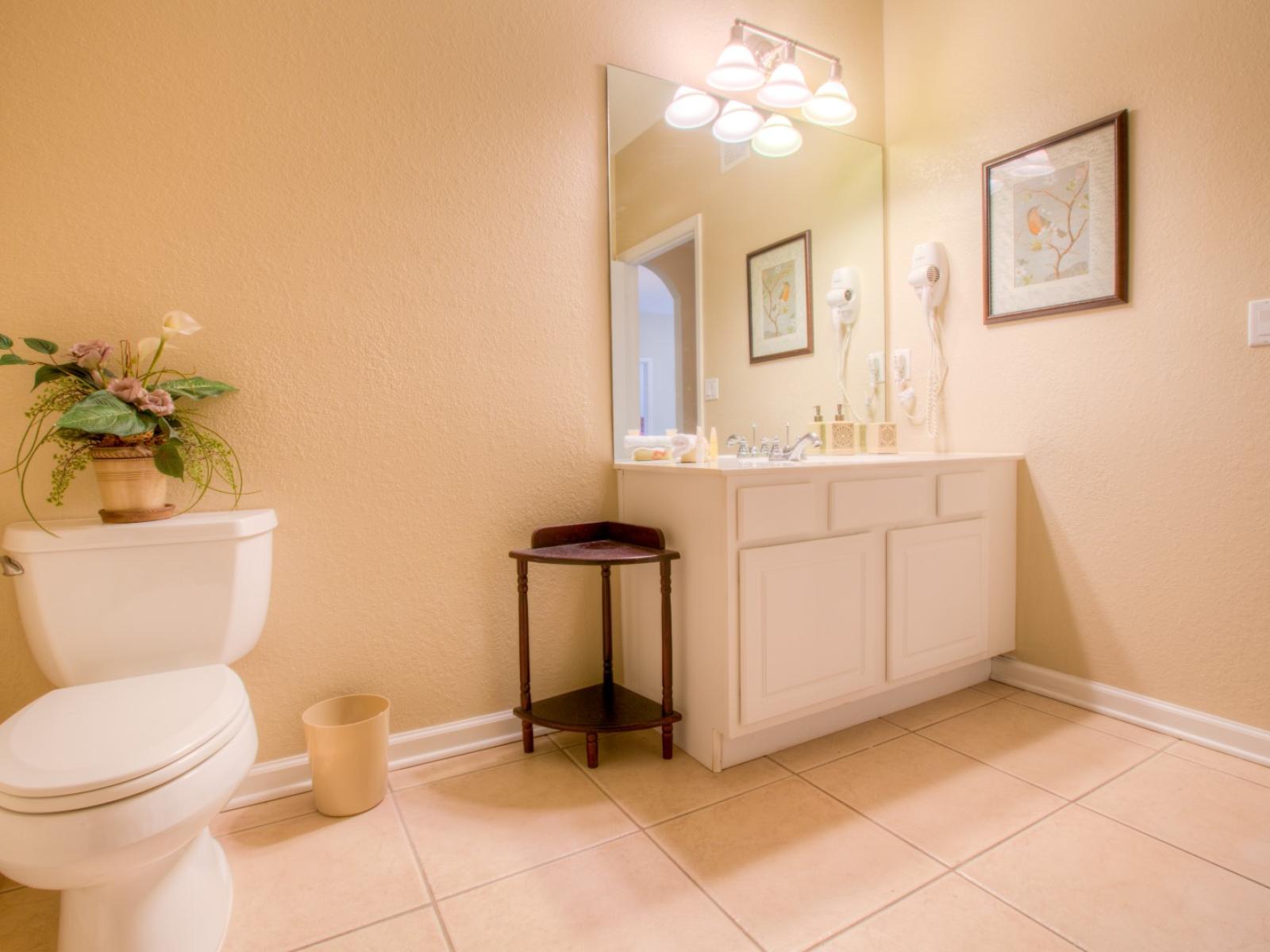 High-end Bathroom of the Apartment in Orlando Florida - Truly a sanctuary of comfort and cleanliness - Elegant bathroom with luxurious fixtures and finishes - Understated elegance with clean lines and refined details