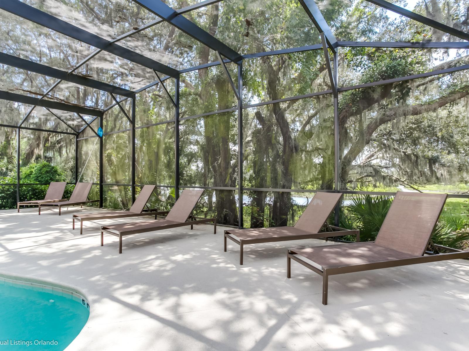 Luxury pool area of the Villa in Florida - Lush and refreshing environment - Cozy beach chairs available - Beautifully sunbathed space makes the soul peaceful - Experience the comfort at the best