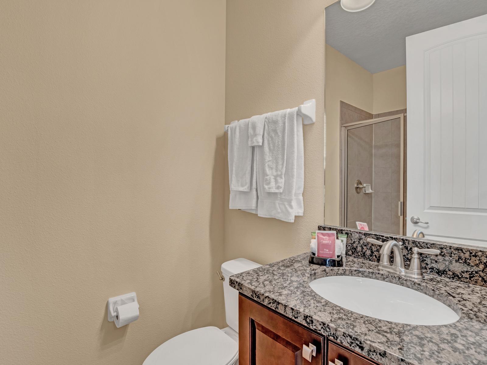 Elegant Bathroom of the Home in Kissimmee Florida - Experience comfort and functionality - Vanity with large mirror