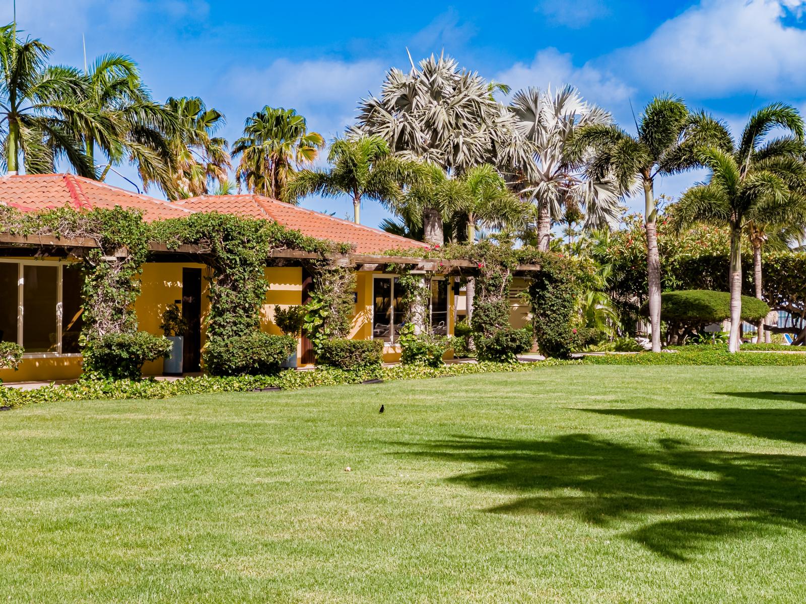 Relax amidst the greenery in our peaceful outdoor oasis.