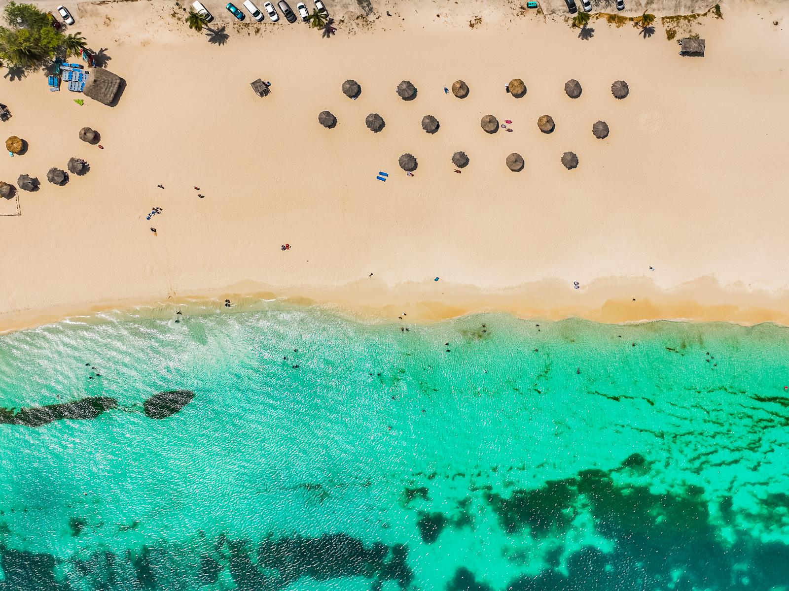 Step onto the soft sands of Eagle Beach from our condo, where the azure waters and pristine shores create a picturesque backdrop for your island getaway.