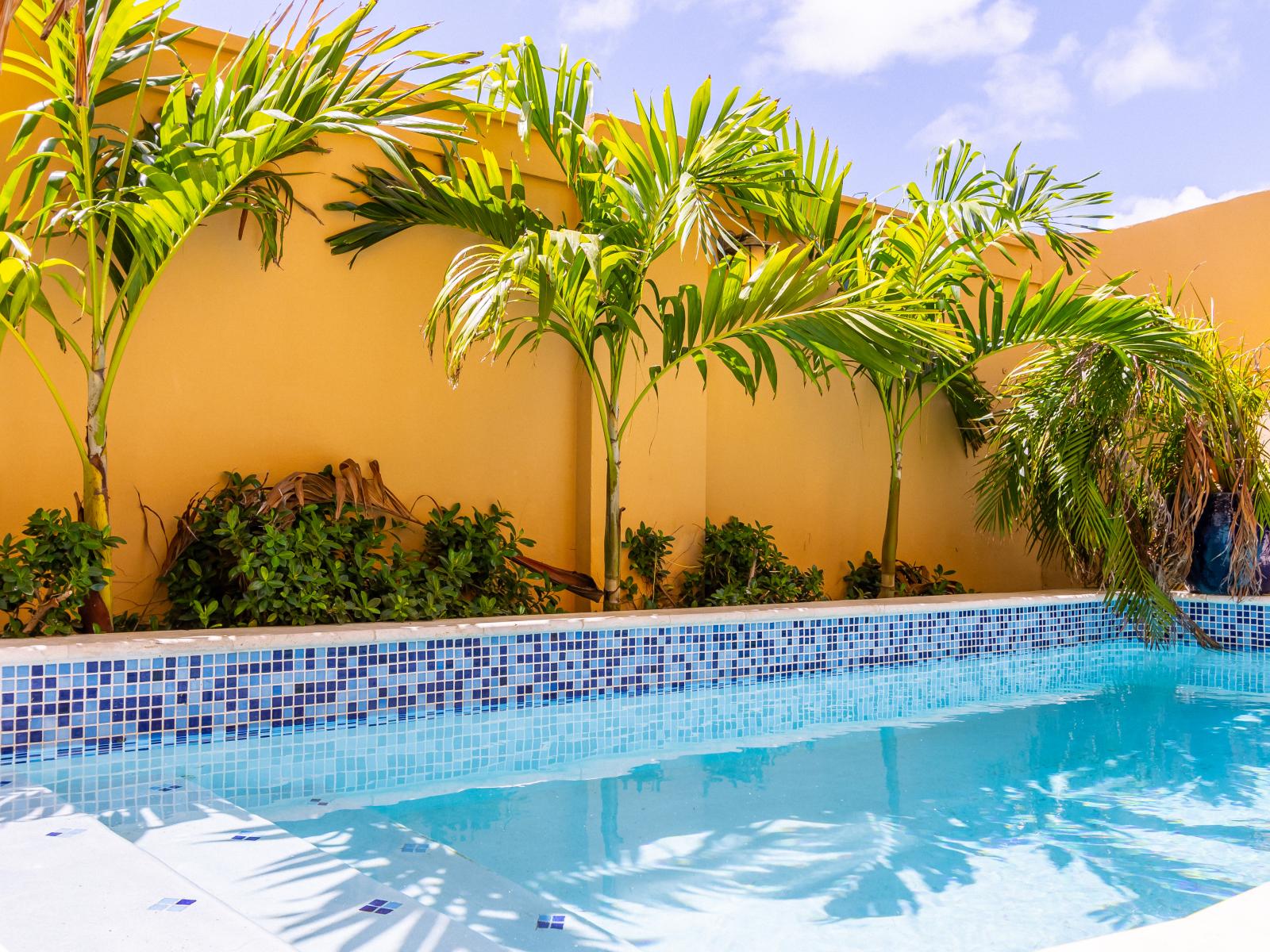 Refresh and unwind: our pool with a stylish lounge area invites you to relax and soak up the sun.