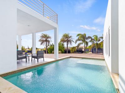 Palatine Pool Area with Tropical Trees view in Santa Cruz Aruba - Crystal-clear pool for refreshing dips - Sleek and stylish pool deck design - Ample shade options for sun-sensitive guests